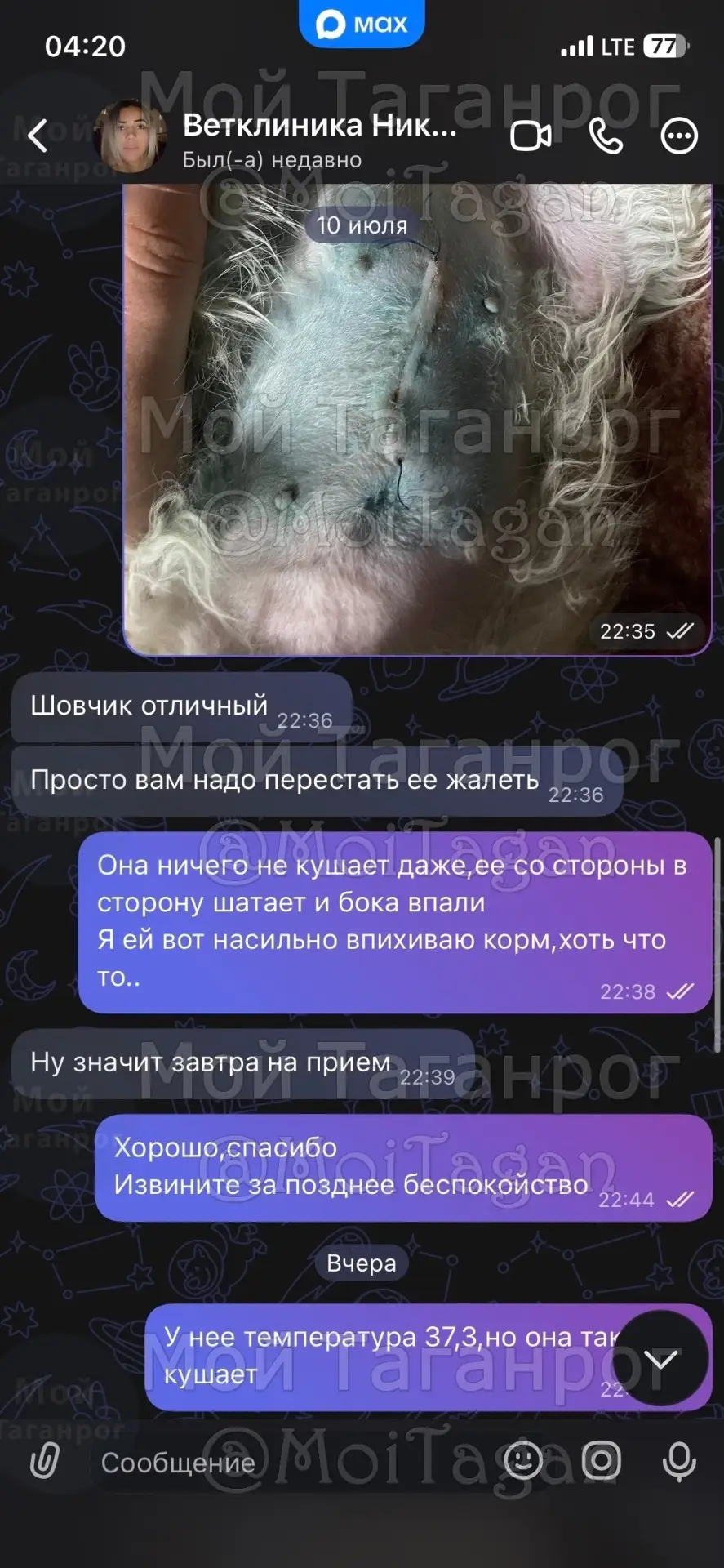 Изображение из сообщения канала