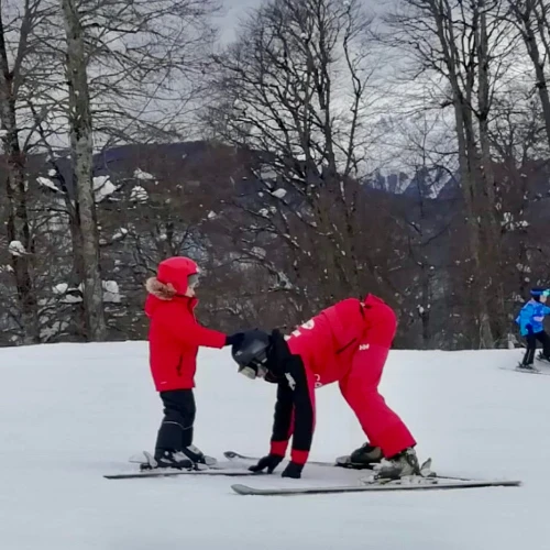 SkiOrganaizerBot