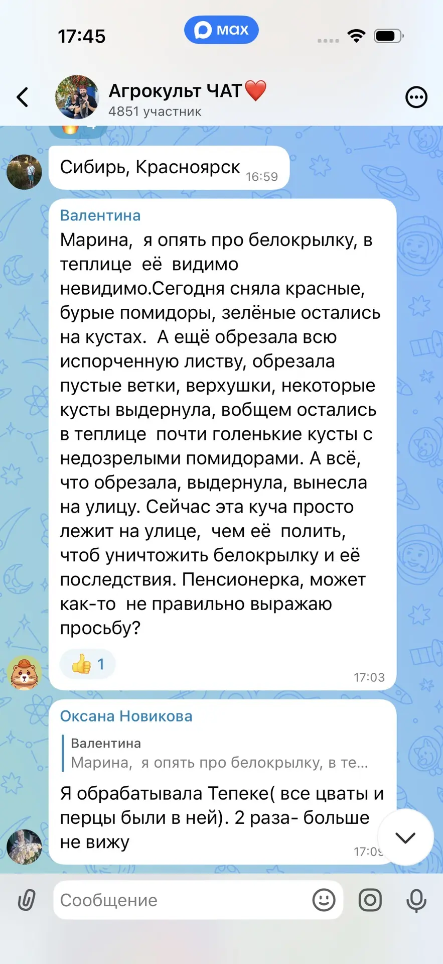 Изображение из сообщения канала