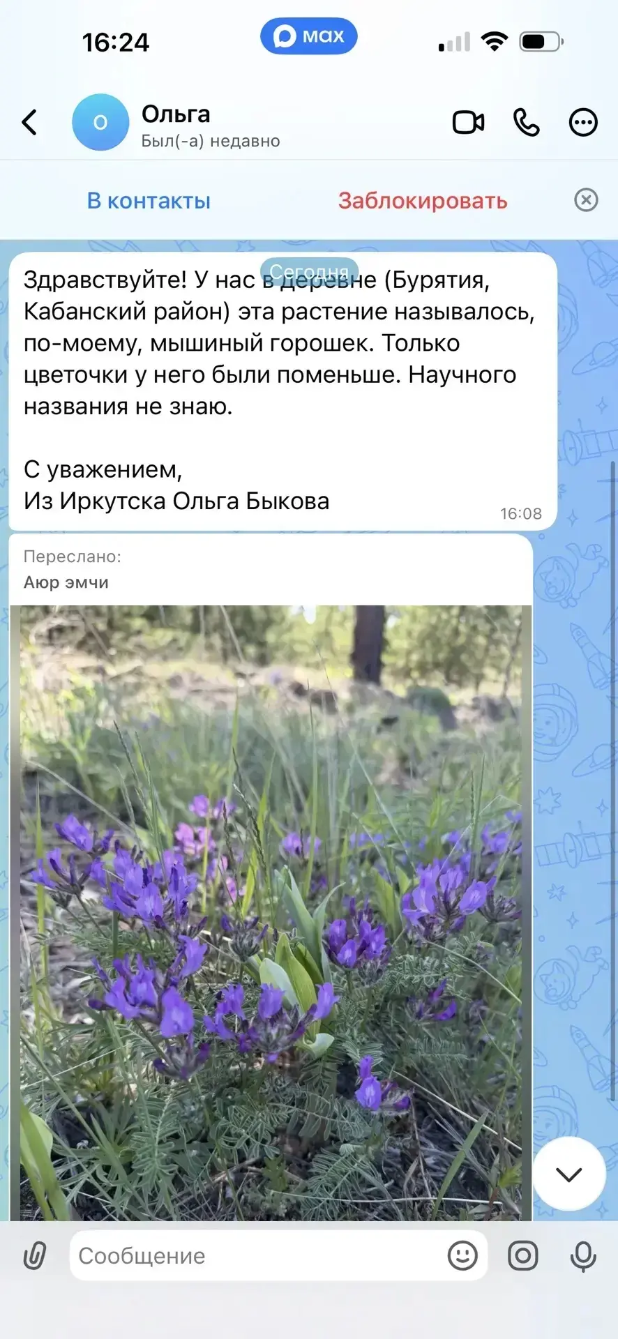 Изображение из сообщения канала