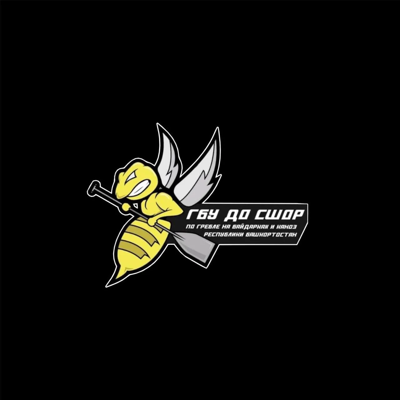 ГБУ ДО СШОР 
по гребле на байдарках и каноэ РБ