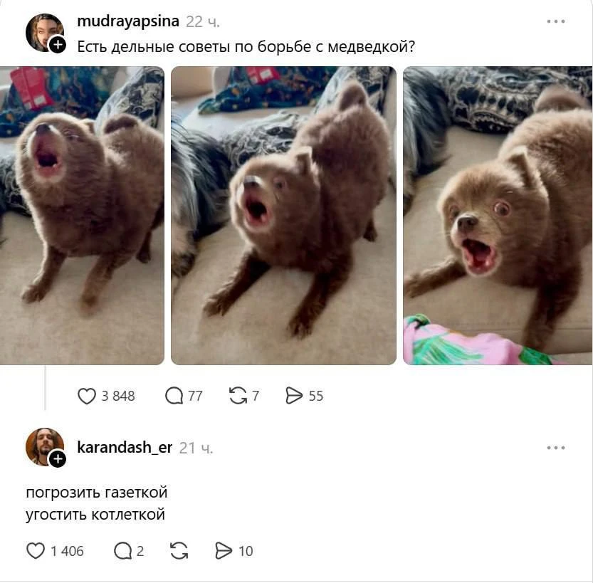 Изображение из сообщения канала