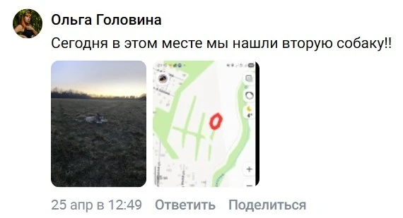 Изображение из сообщения канала