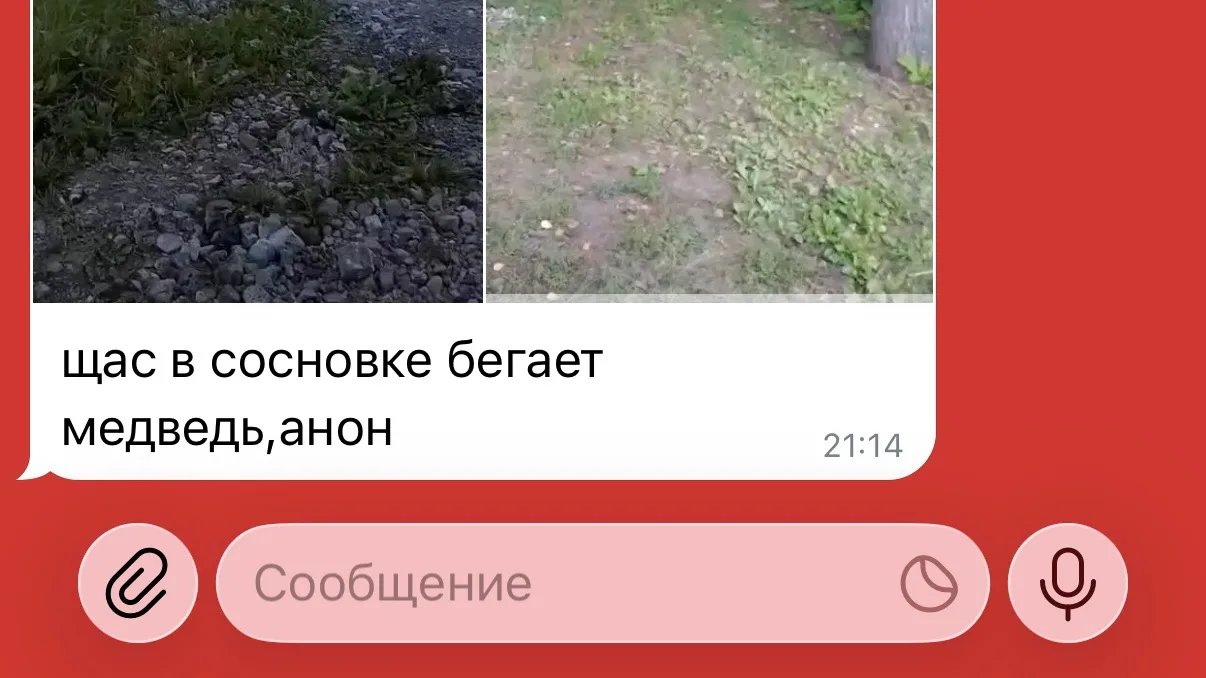 Изображение из сообщения канала