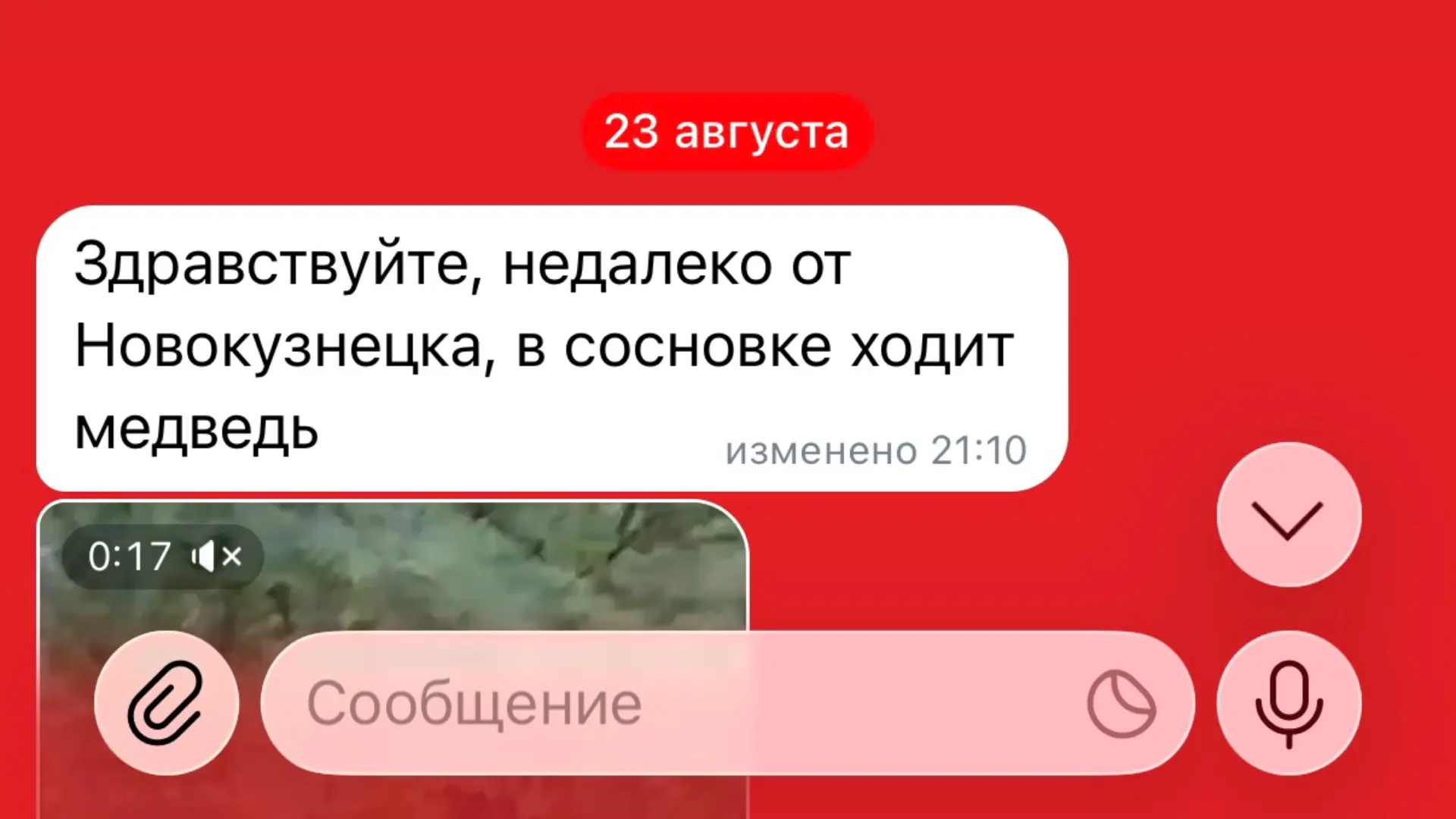 Изображение из сообщения канала