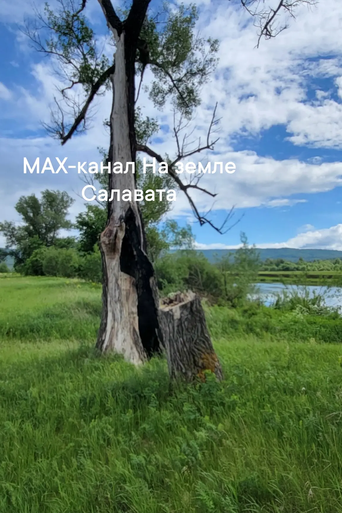 Изображение из сообщения канала