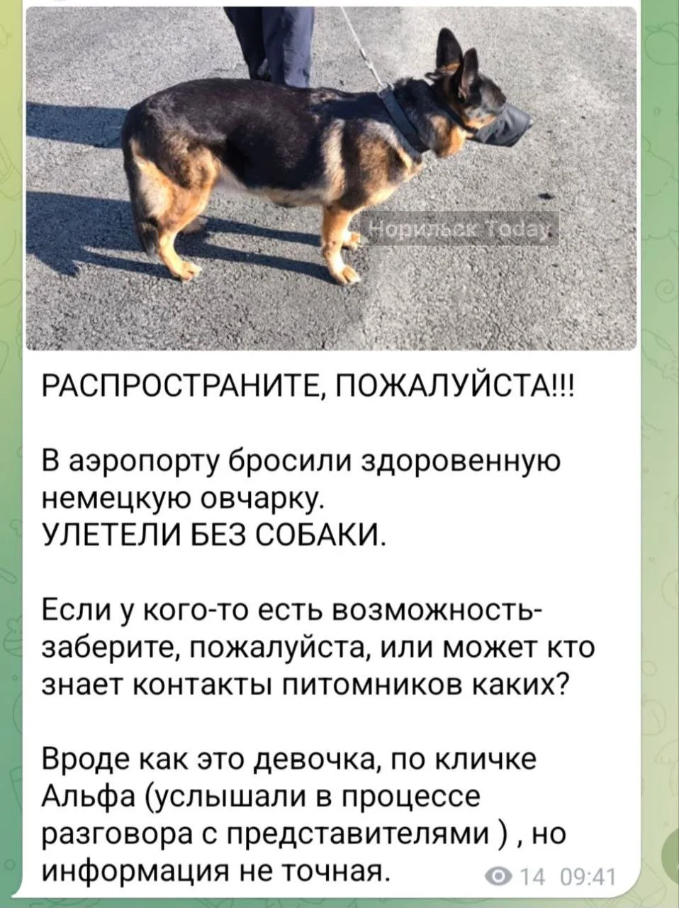 Изображение из сообщения канала