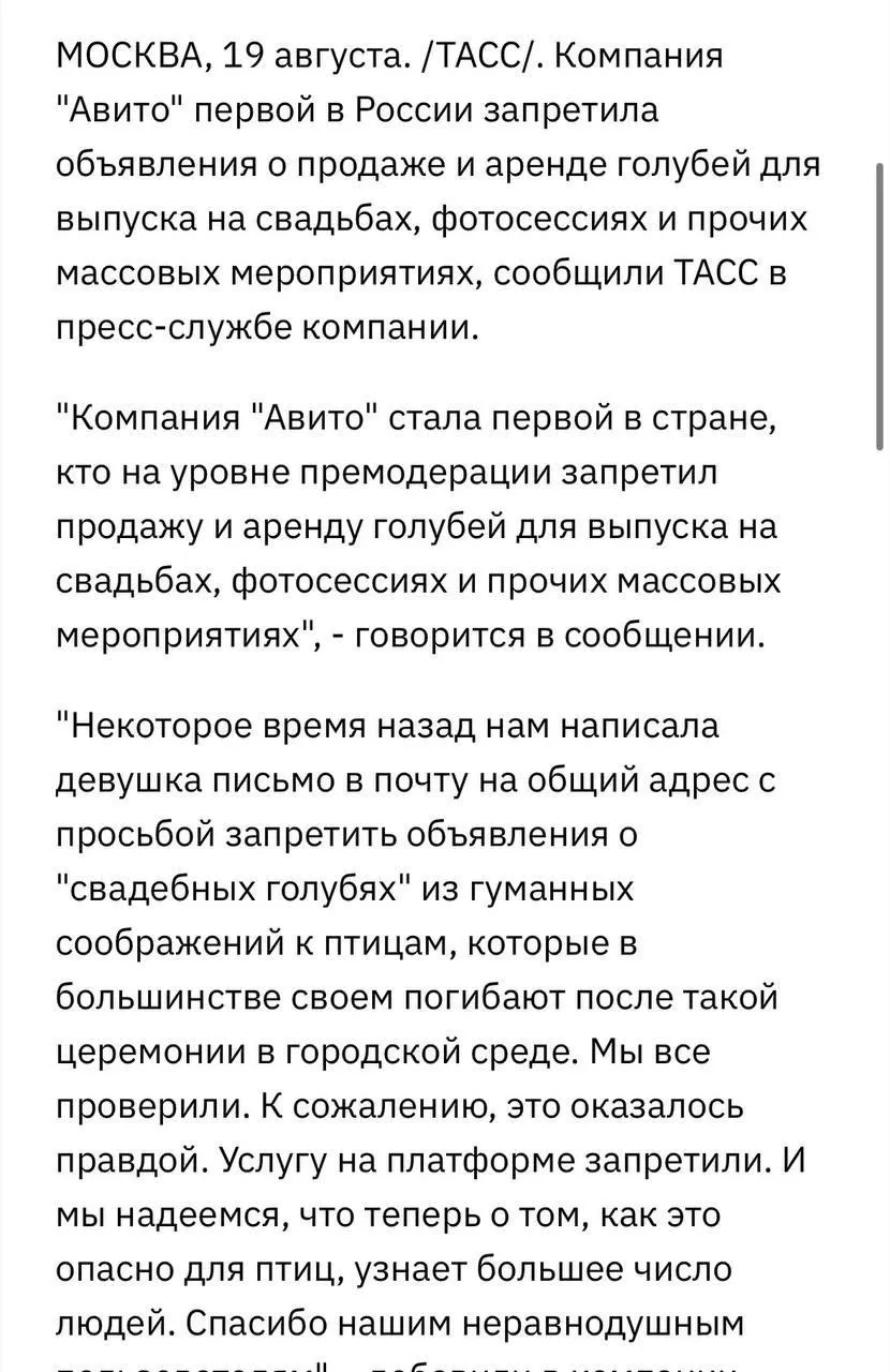 Изображение из сообщения канала