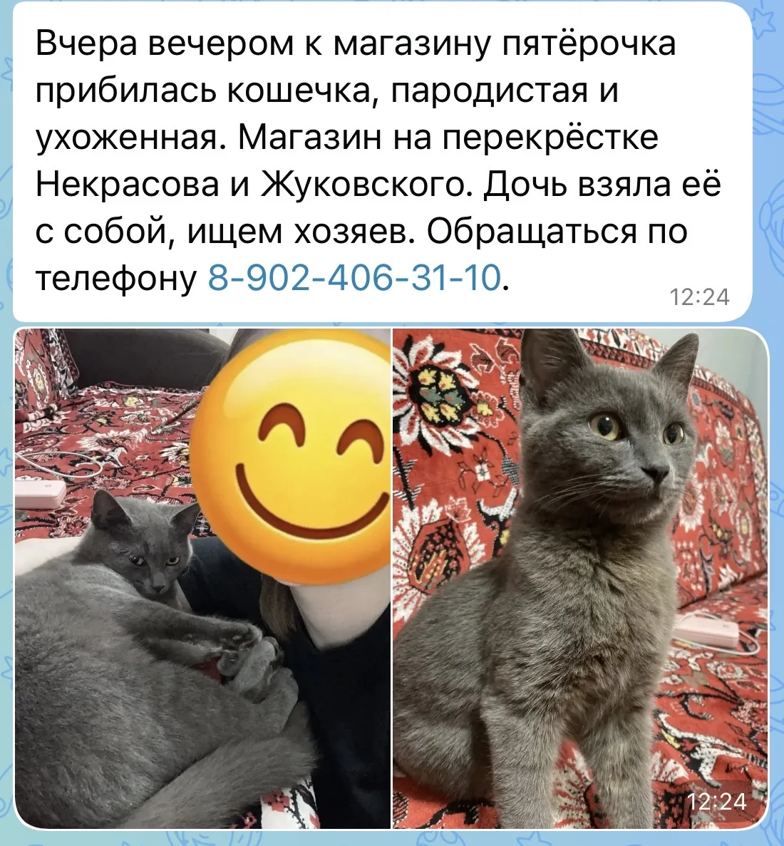Изображение из сообщения канала