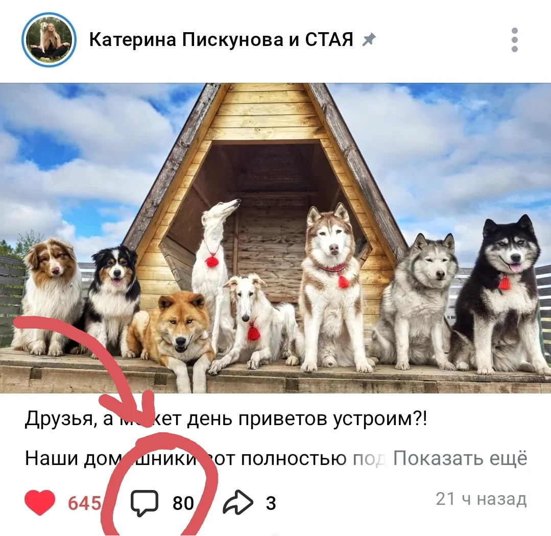 Изображение из сообщения канала