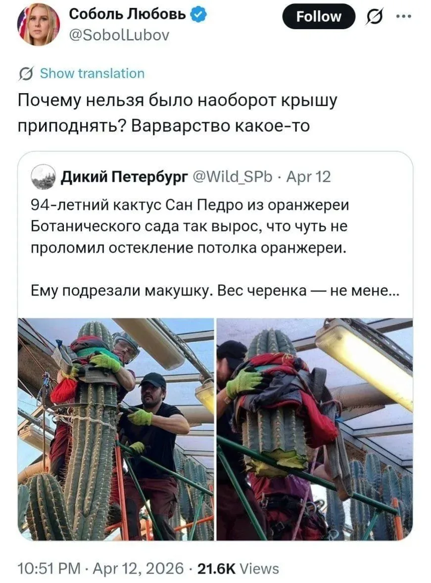 Изображение из сообщения канала