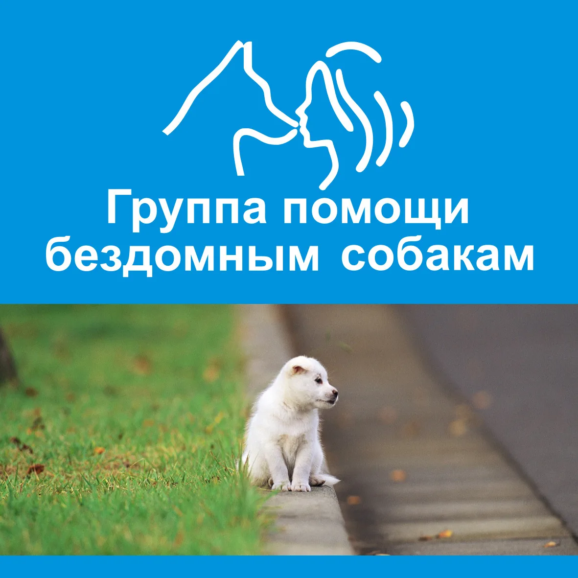 Фотография канала Max Город преданных собак 73