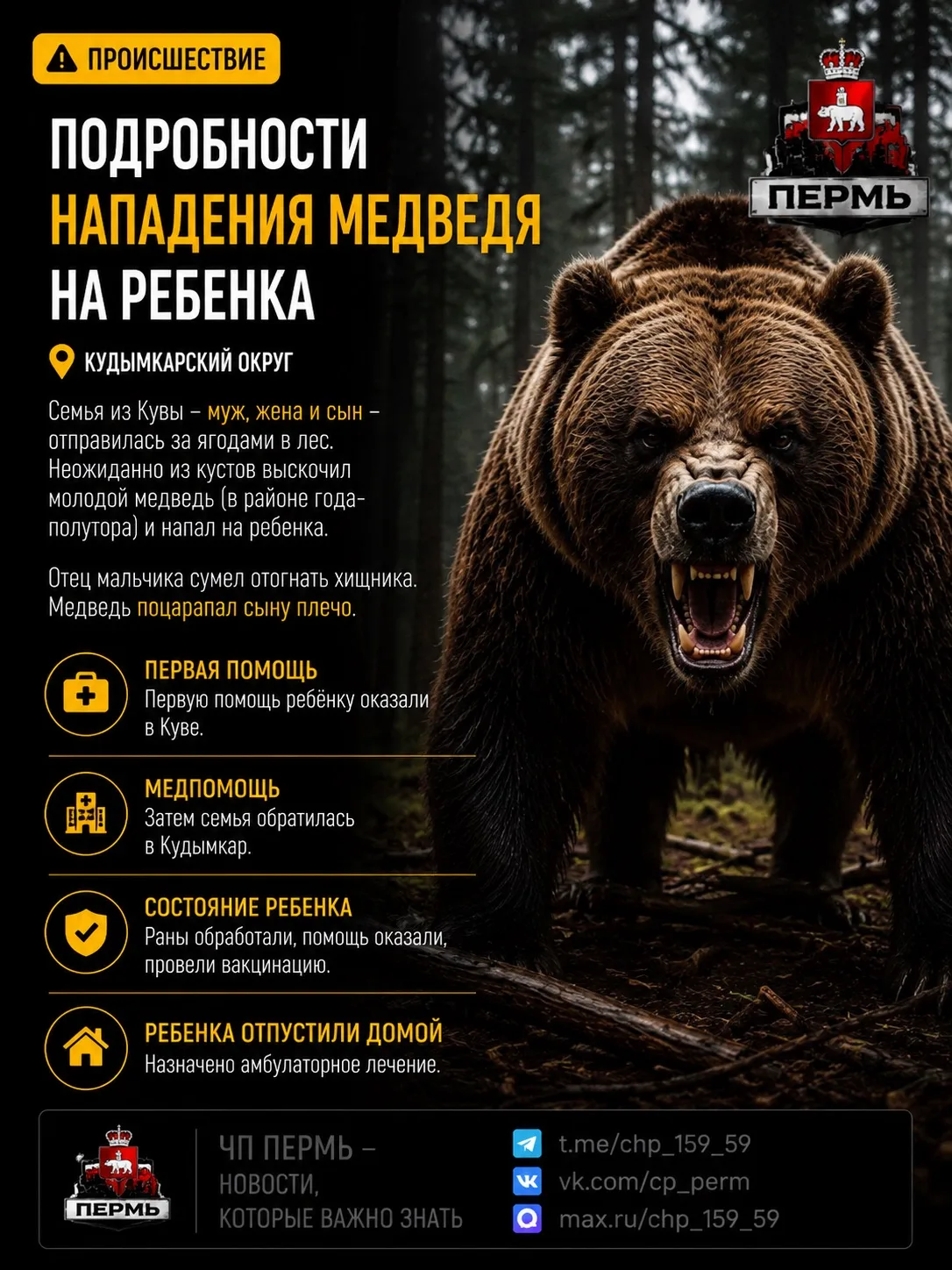 Изображение из сообщения канала