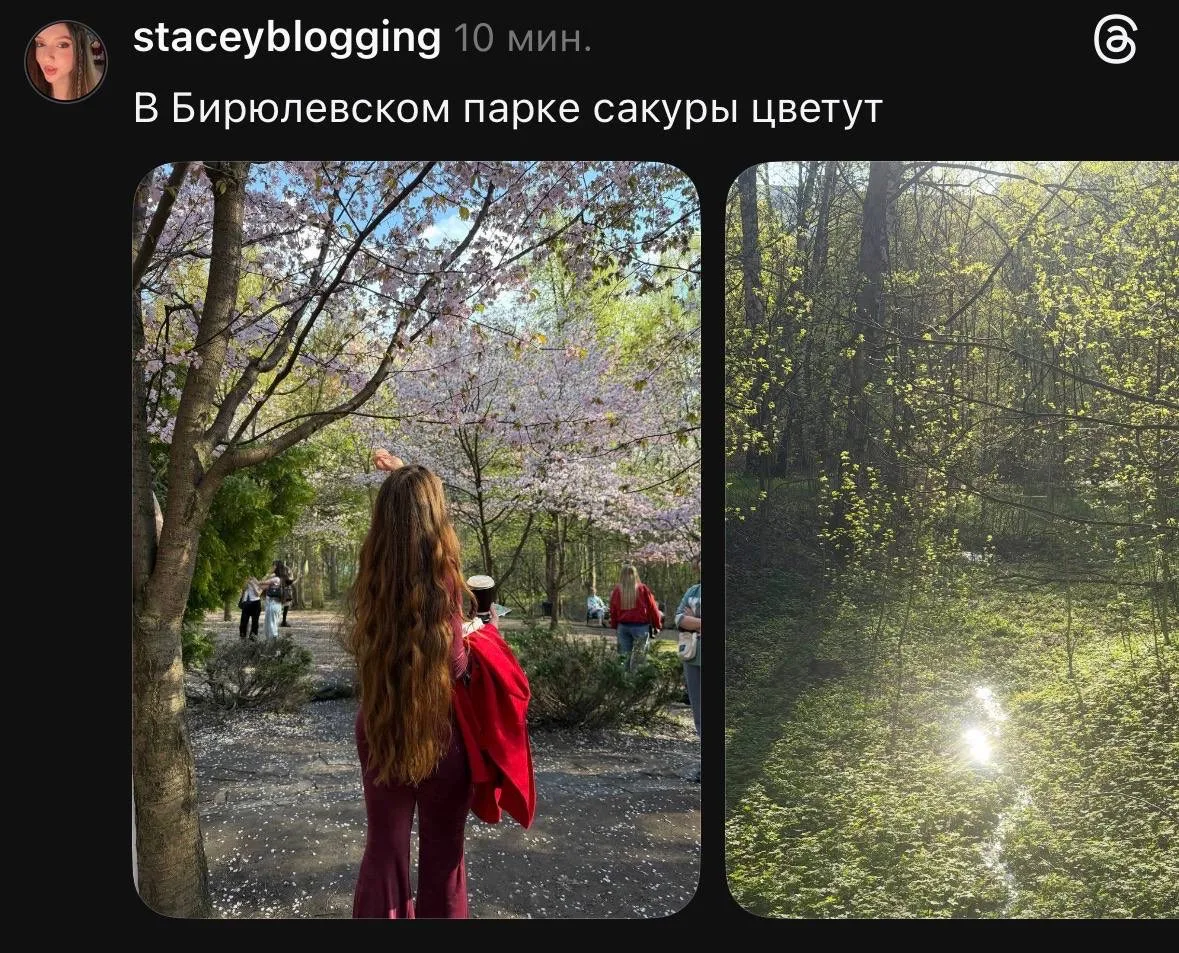 Изображение из сообщения канала