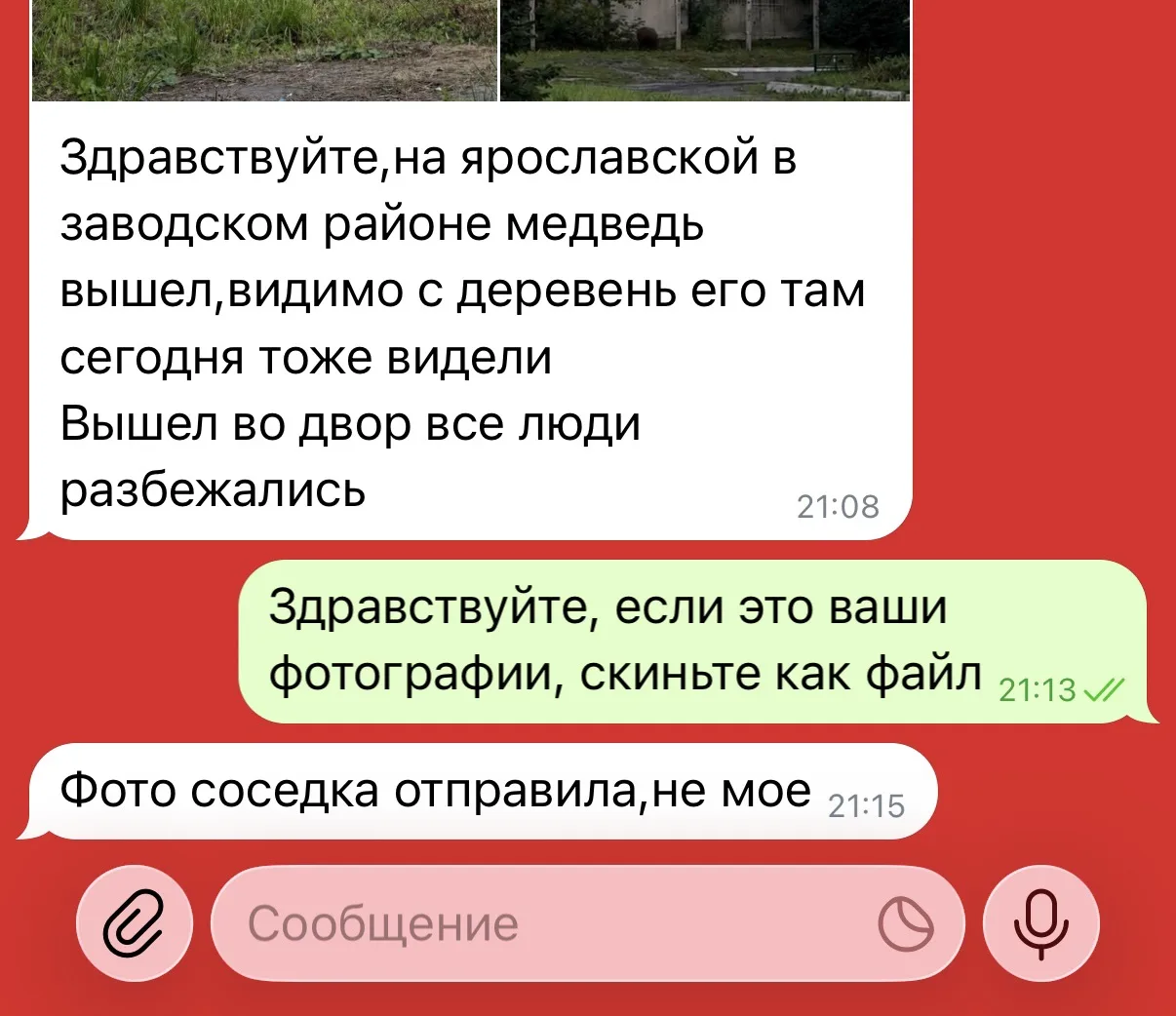 Изображение из сообщения канала
