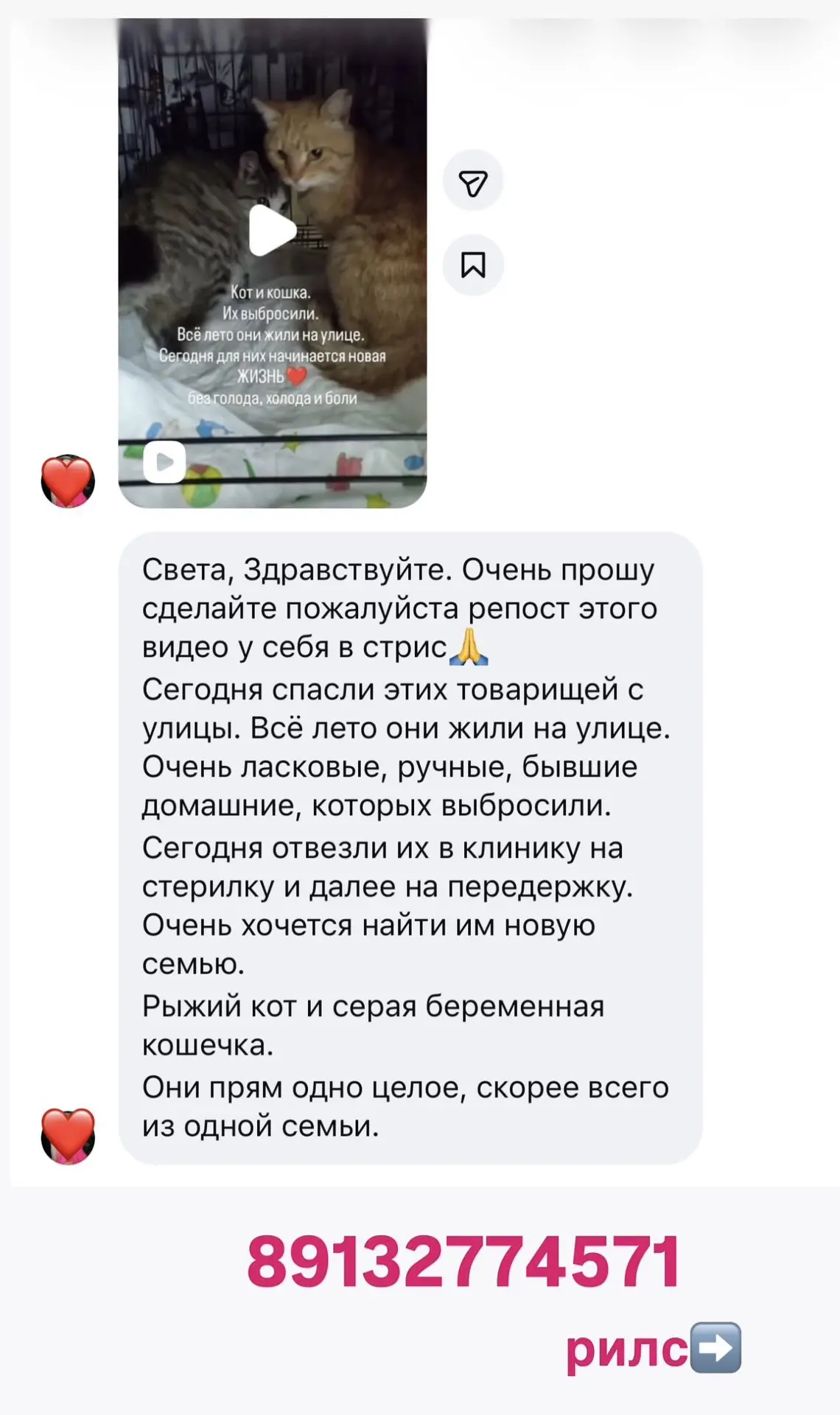 Изображение из сообщения канала