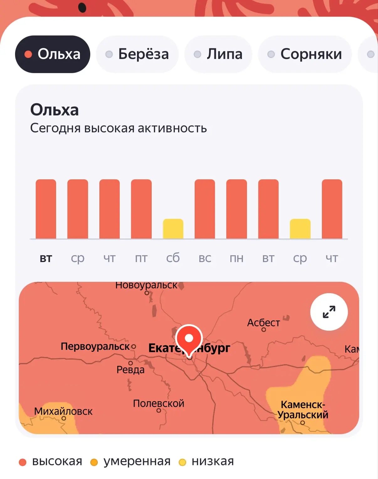 Зацвела ольха. Медики напомнили три правила для аллергиков