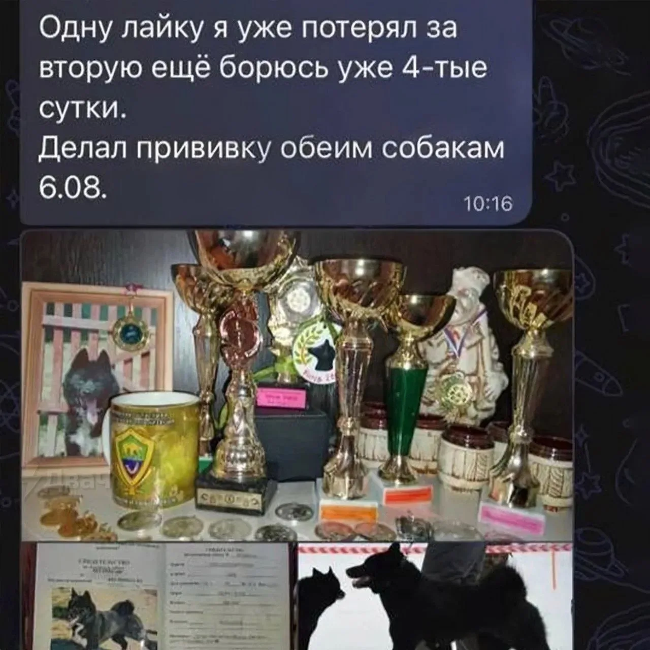 Изображение из сообщения канала