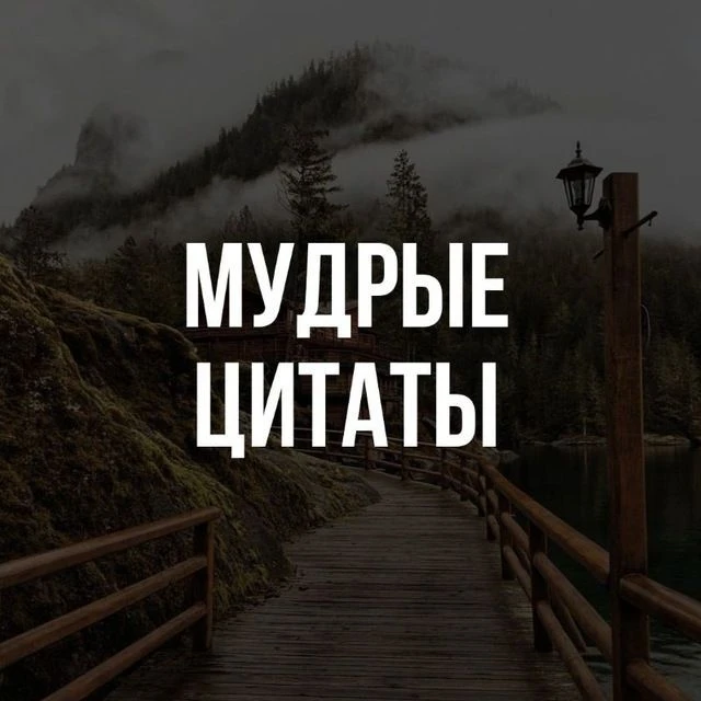 Мудрые цитаты