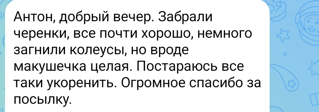 Изображение из сообщения канала