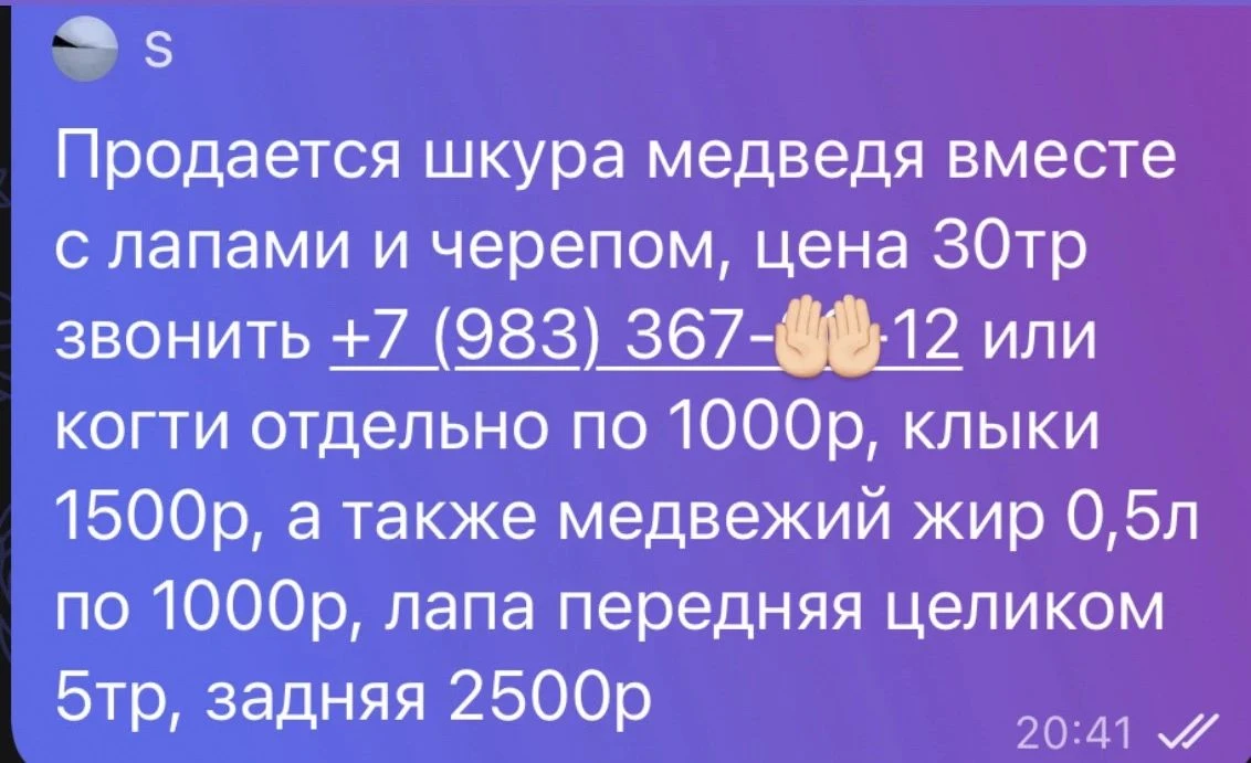Изображение из сообщения канала