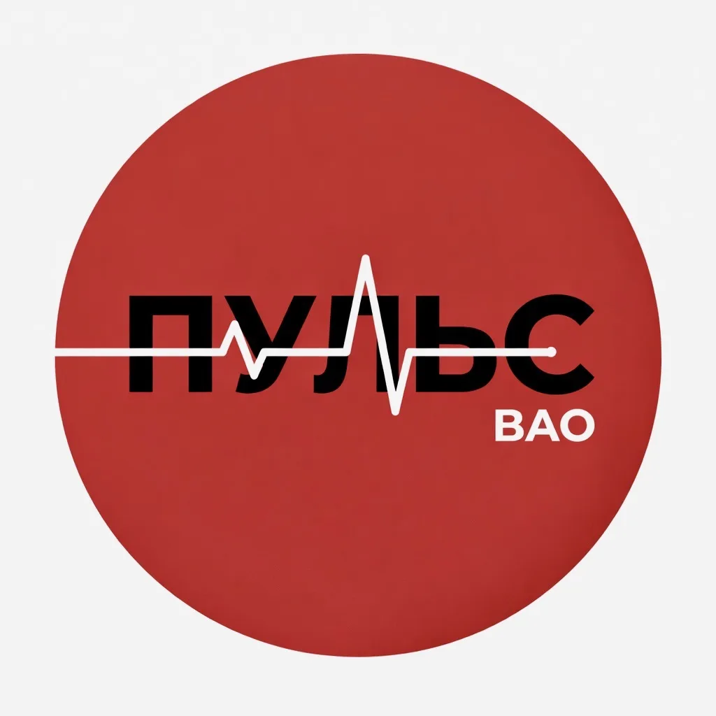 ПУЛЬС ВАО Москва | Новости | Люди | Помощь