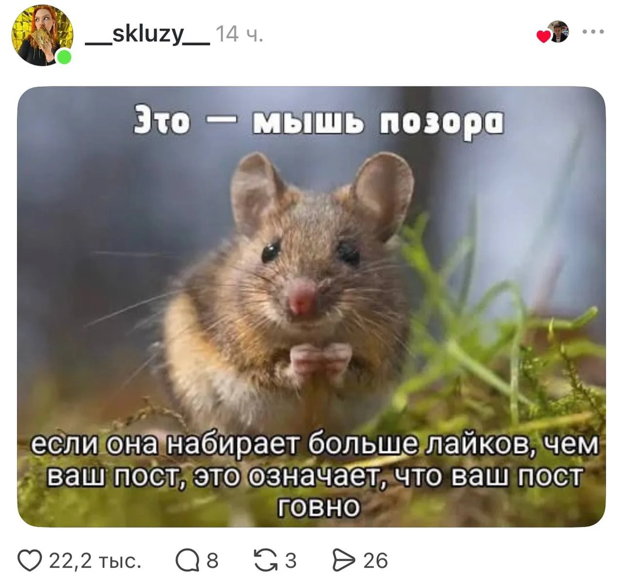 Изображение из сообщения канала