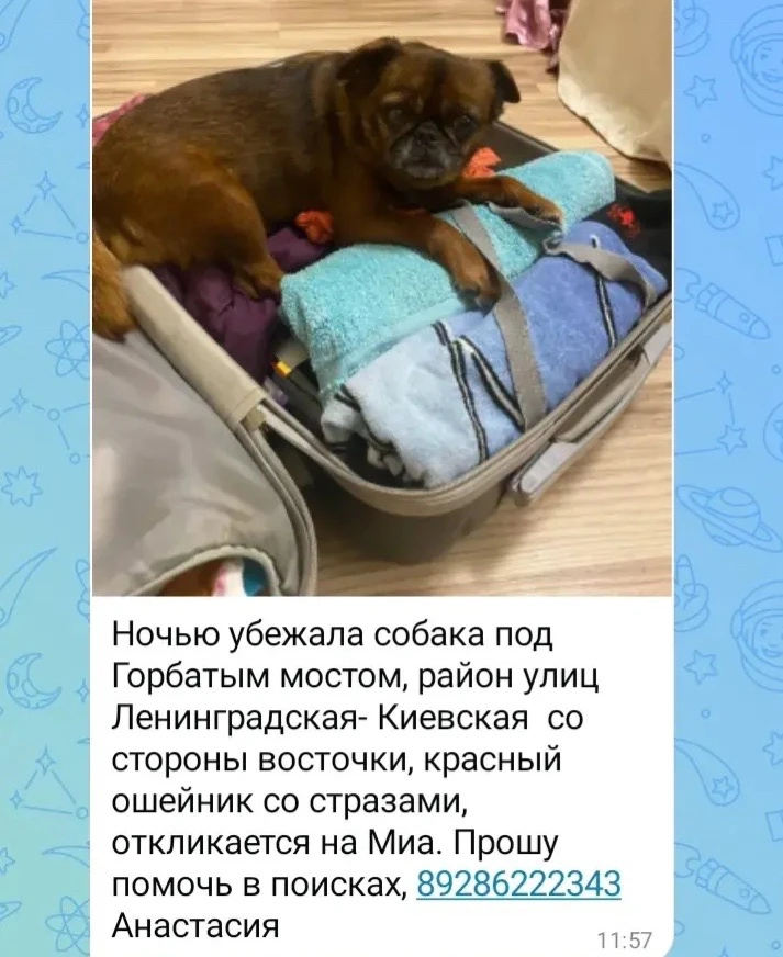 Изображение из сообщения канала