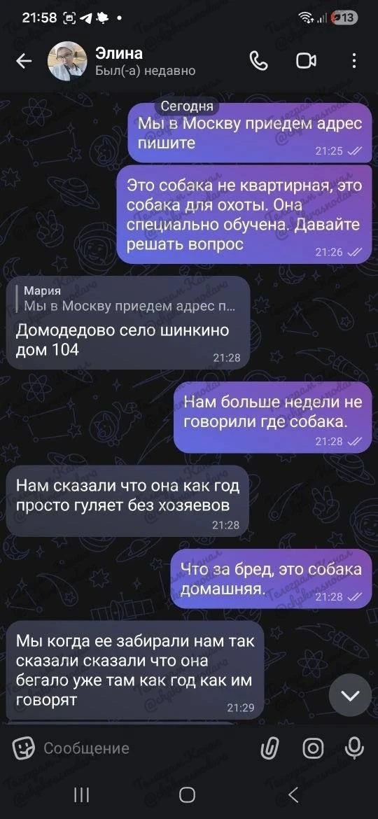 Изображение из сообщения канала