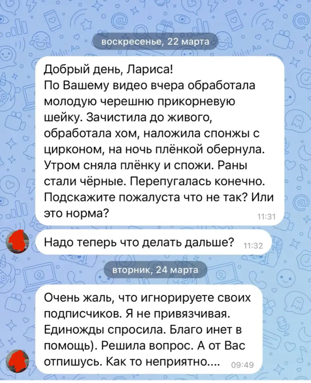 Изображение из сообщения канала