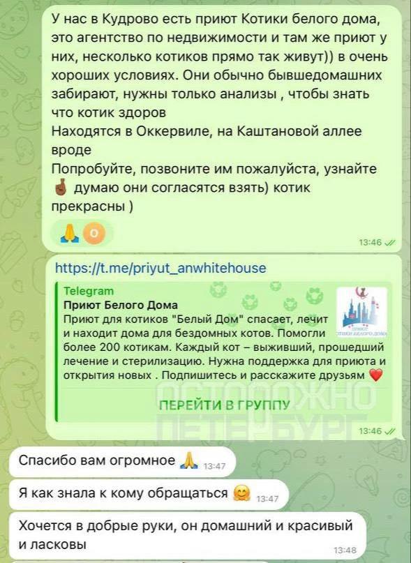 Изображение из сообщения канала