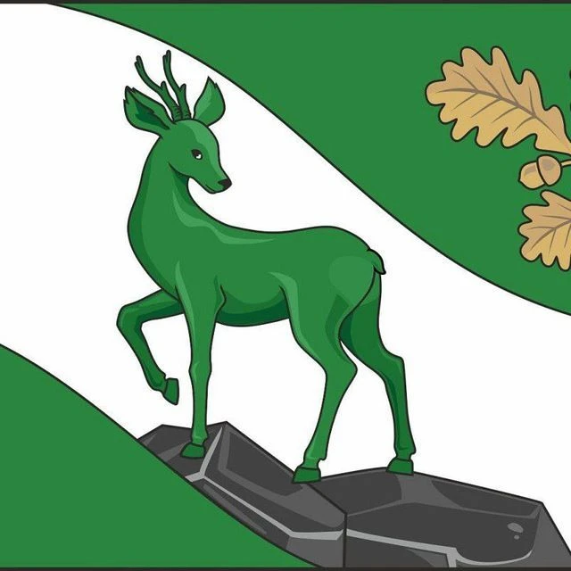 Логотип канала