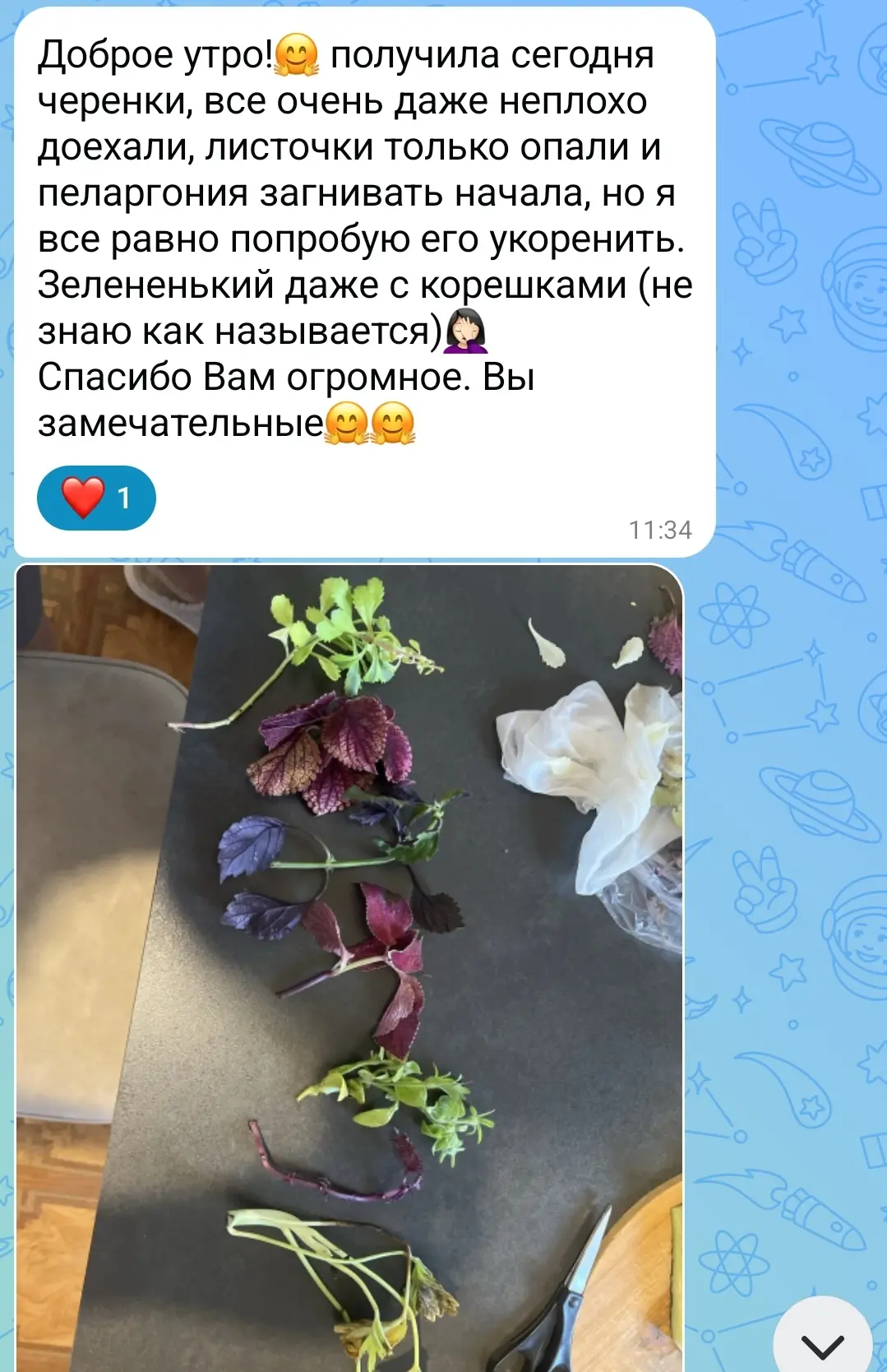 Изображение из сообщения канала