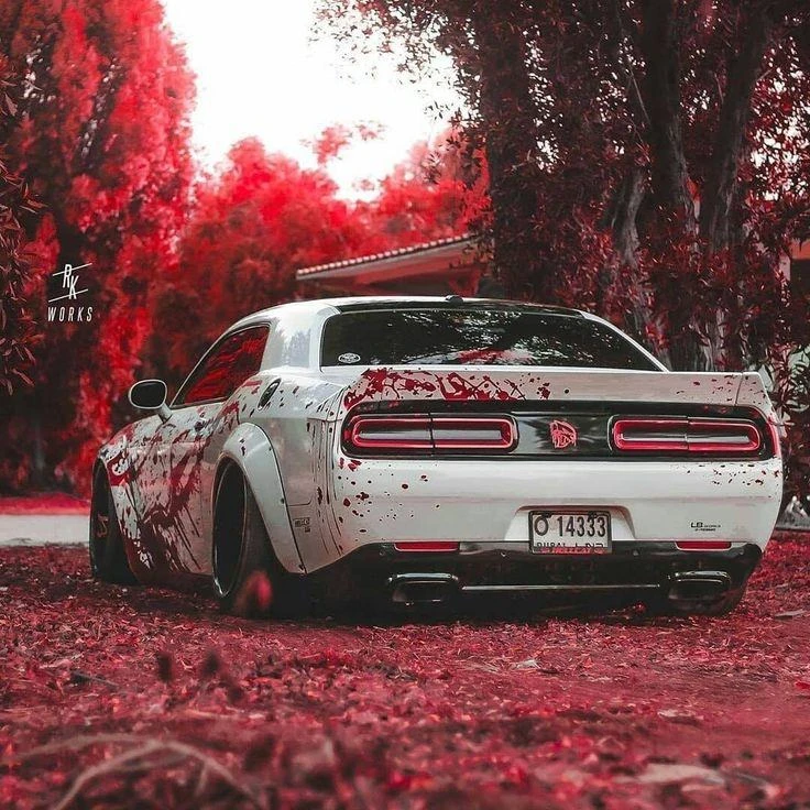 Фотография канала Max Эстетика Авто