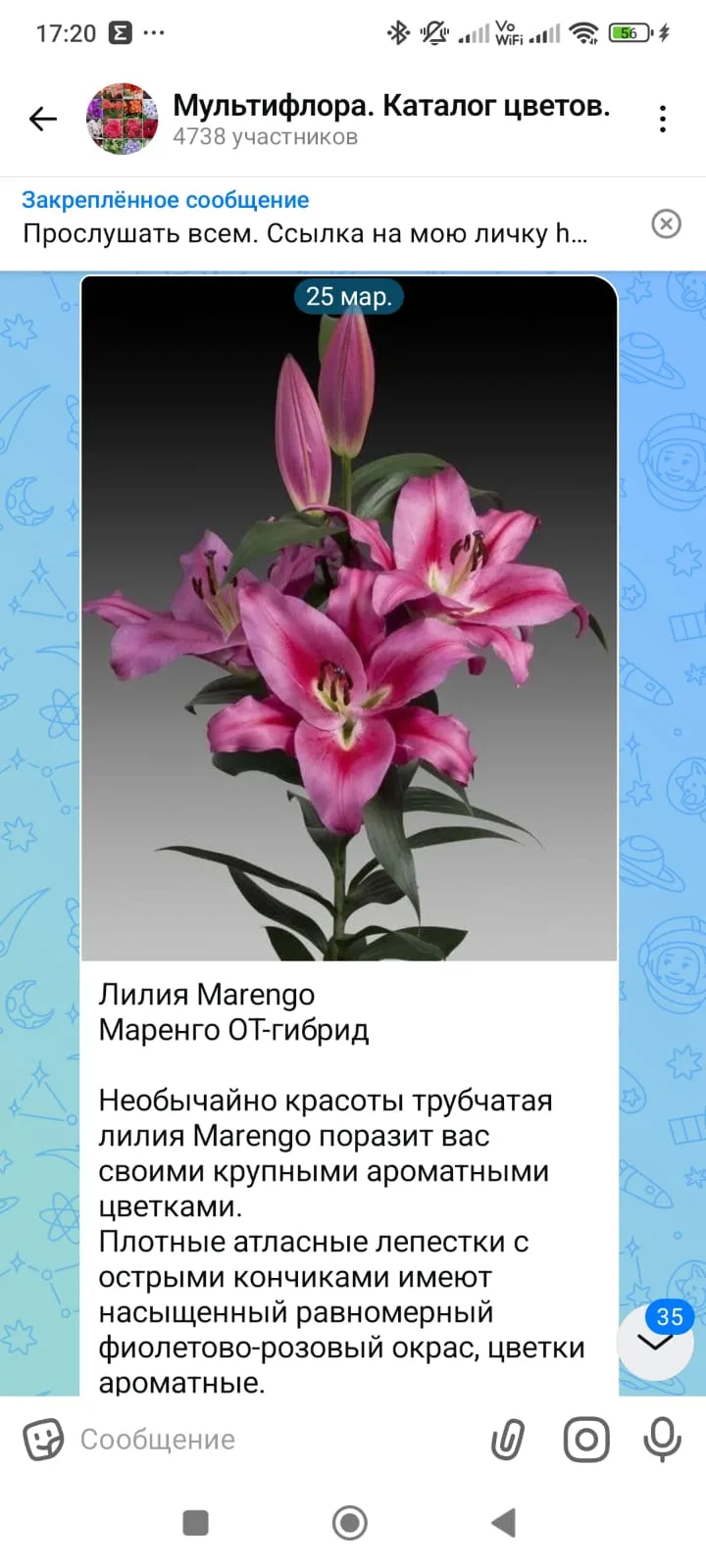 Изображение из сообщения канала