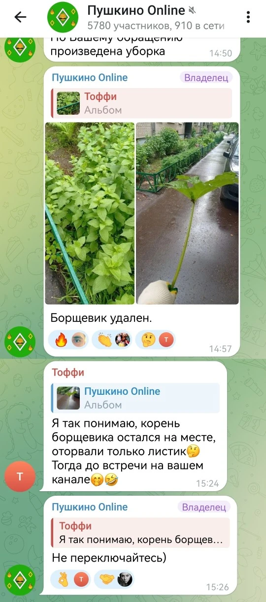 Изображение из сообщения канала