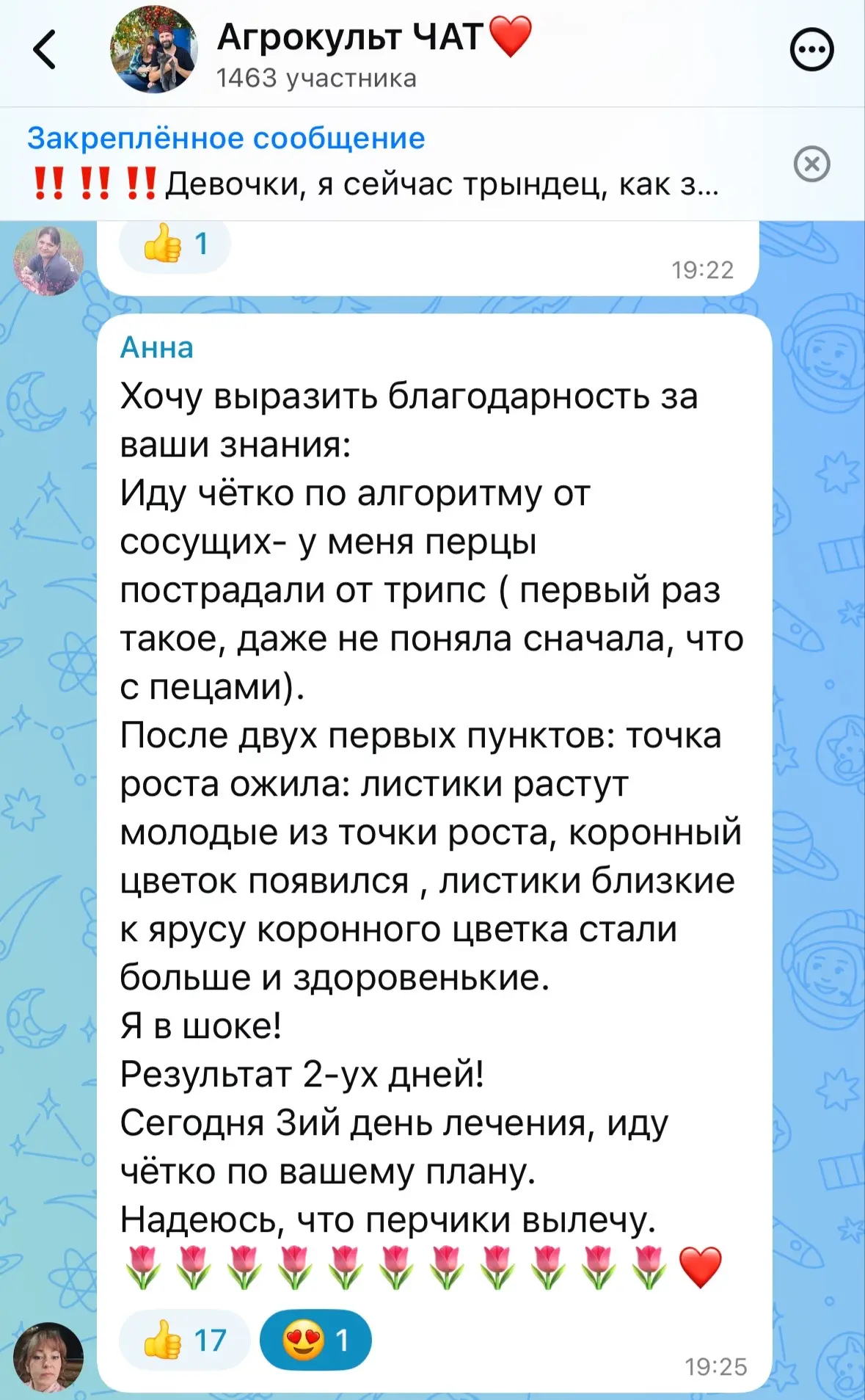 Изображение из сообщения канала