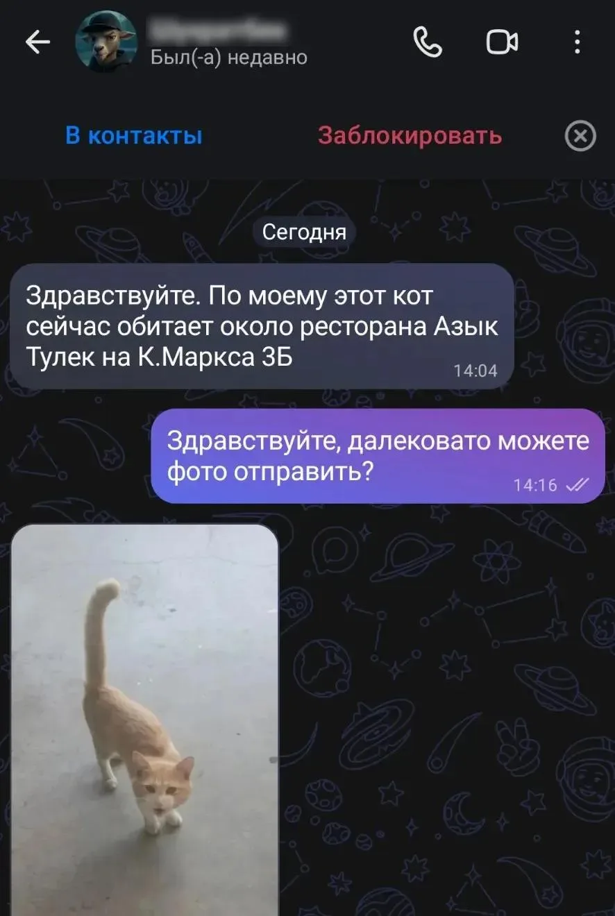 Изображение из сообщения канала