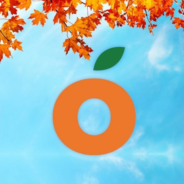 Логотип канала Манго | оптово-розничный центр | ЛНР