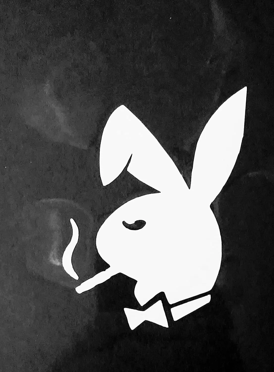 Фотография канала Max Bald Rabbit