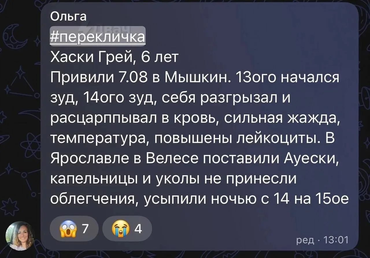 Изображение из сообщения канала