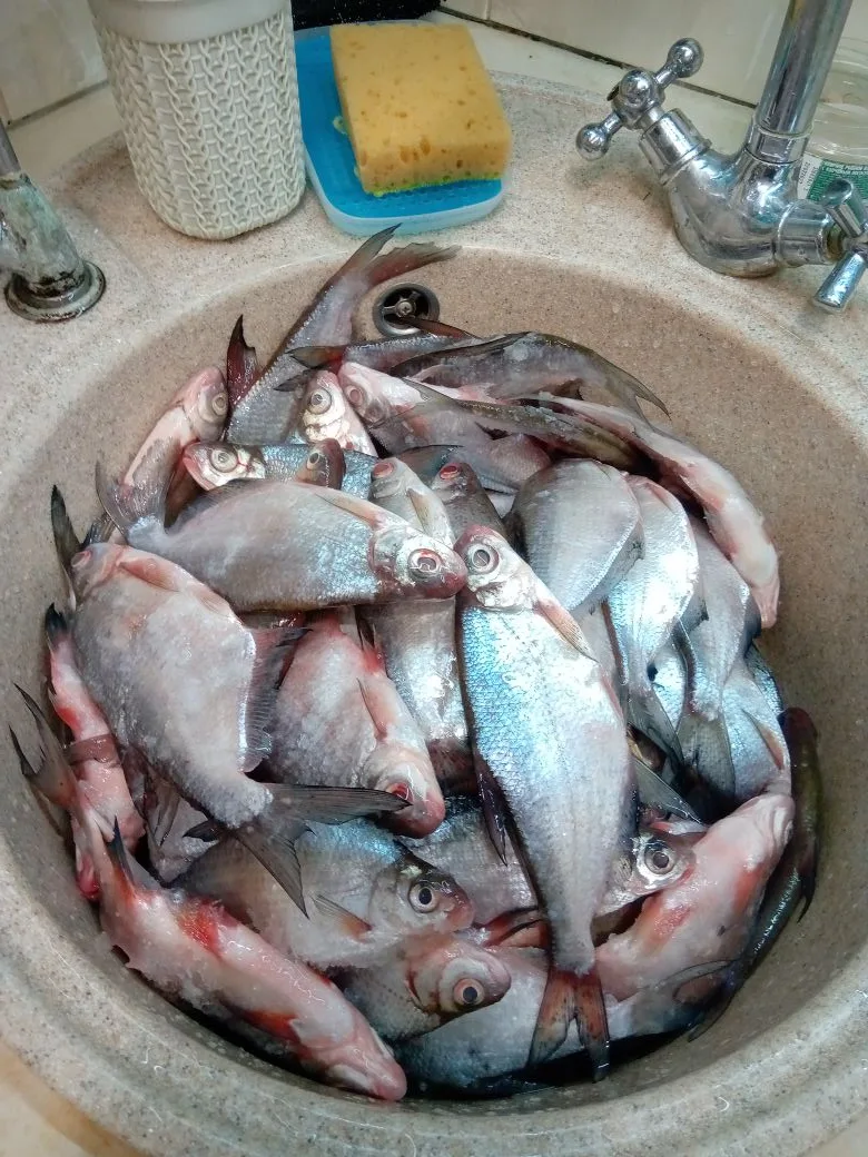 i?r=BTE2sh_eZW7g8kugOdIm2NotyEjYWLKzfYM1jXIVgKANhD2lF5AdAFMOD0uYc_E12DE