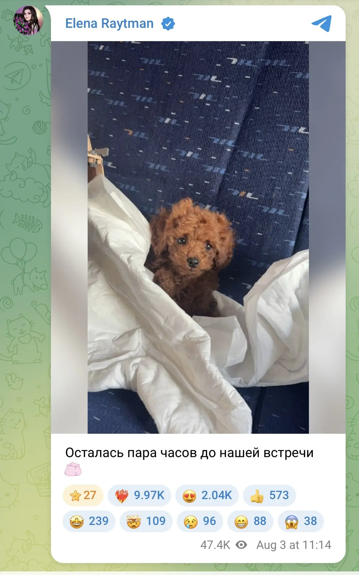 Изображение из сообщения канала