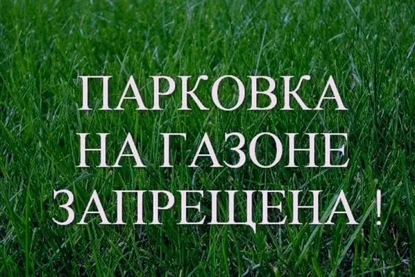 Объявление о запрете парковки на газоне