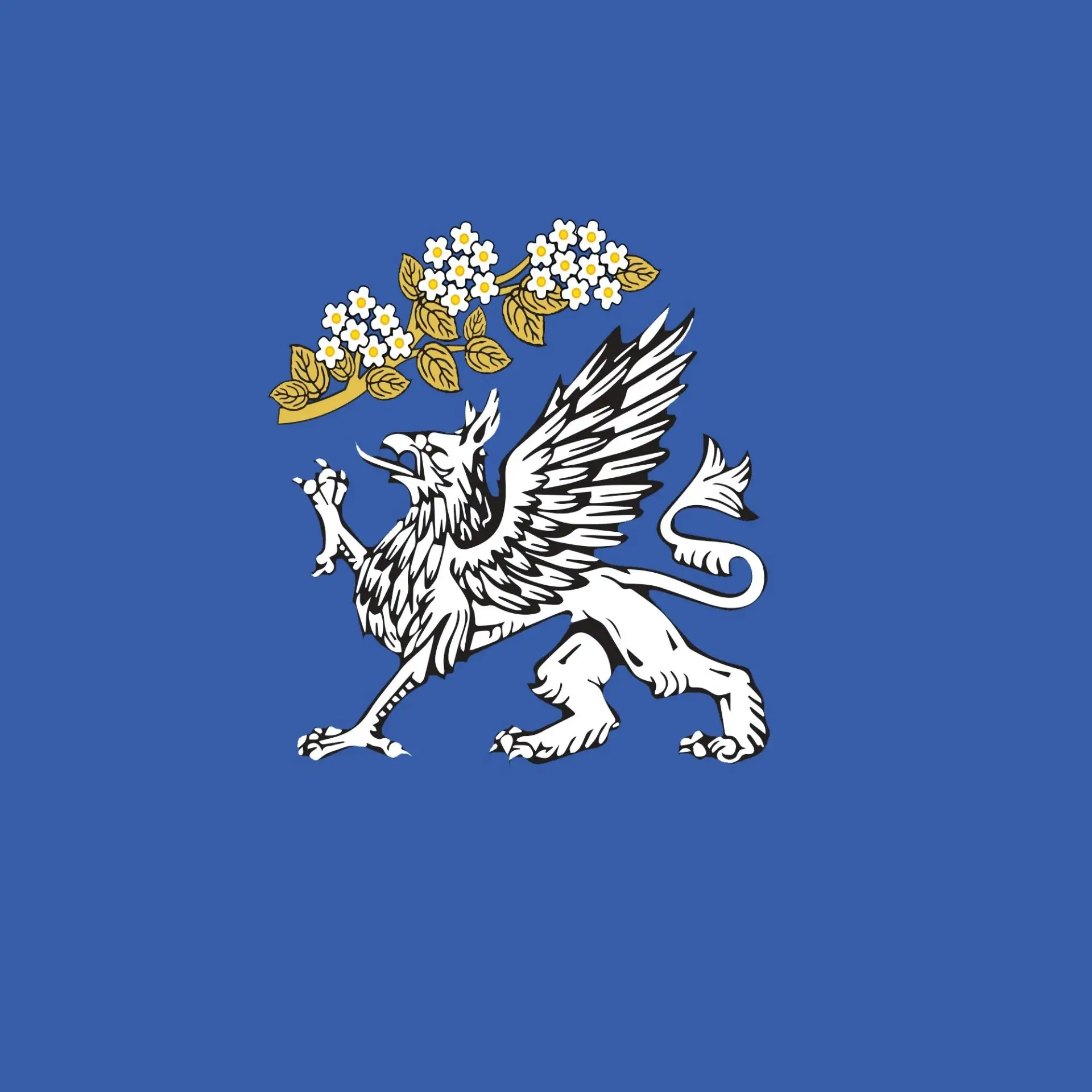 Муниципальный округ Правобережный
