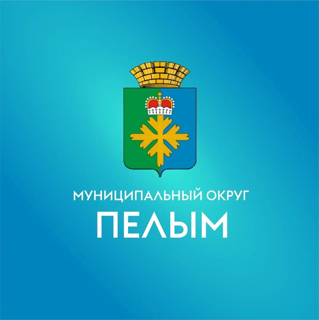 Ревизионная комиссия МО Пелым