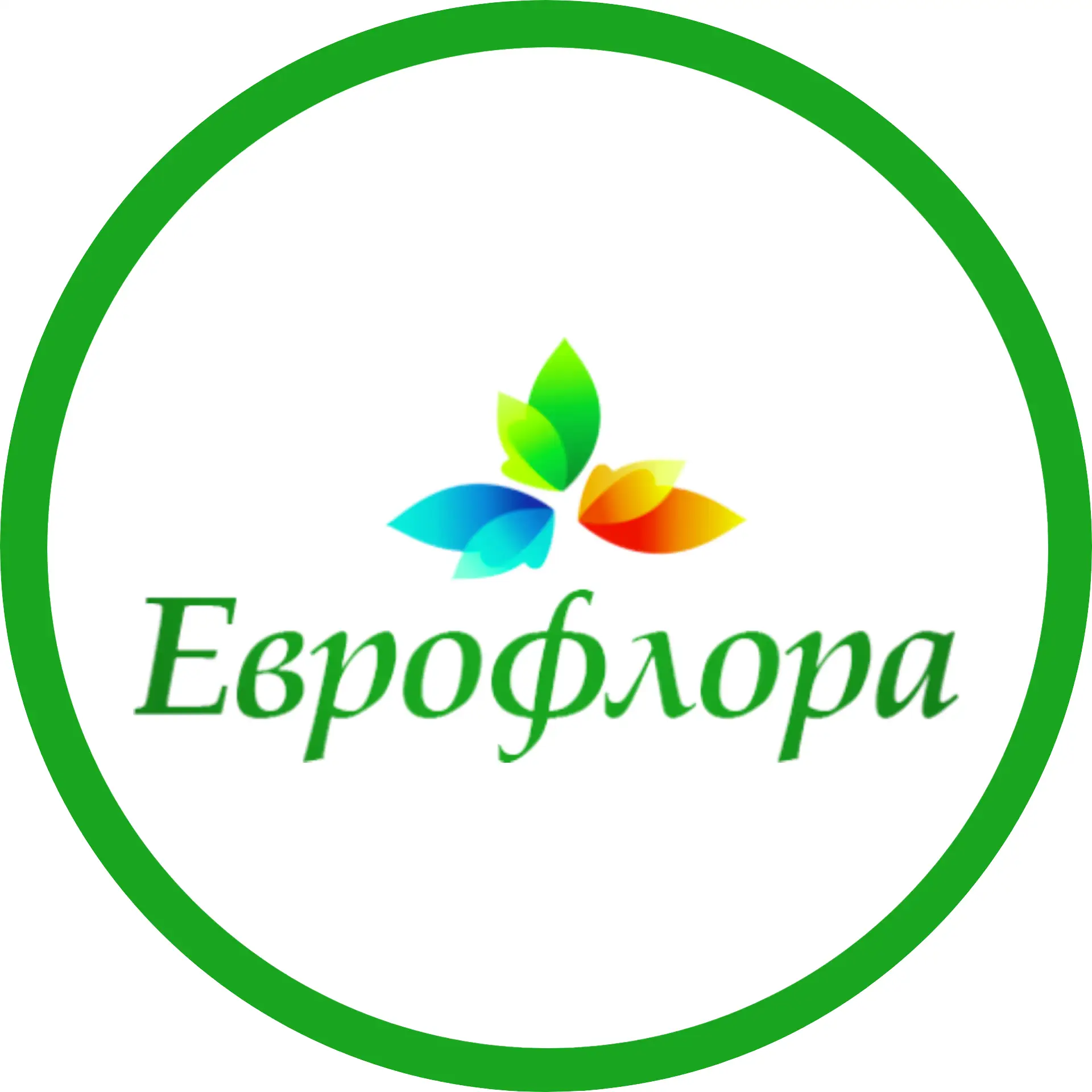 Еврофрора Краснодар