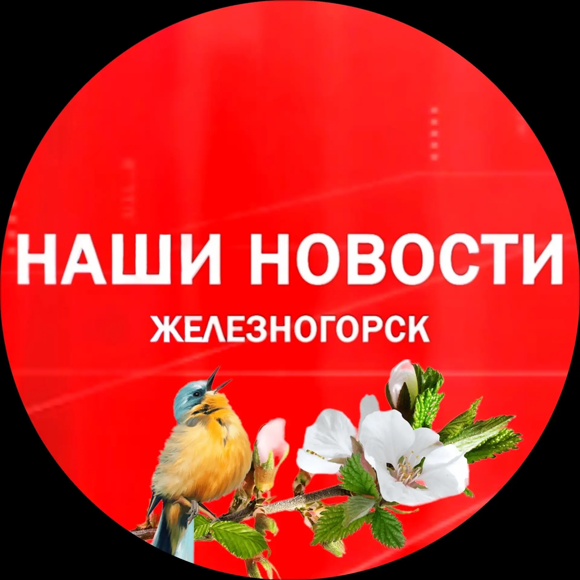 Наши новости. Железногорск Красноярский край