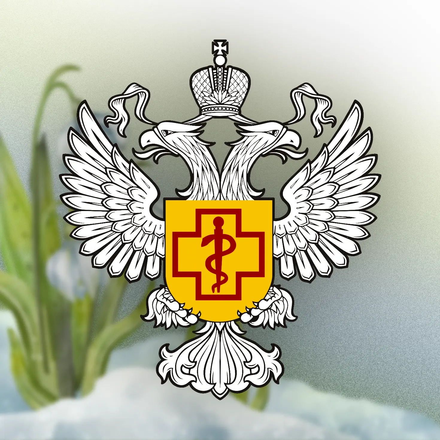 Роспотребнадзор Киров
