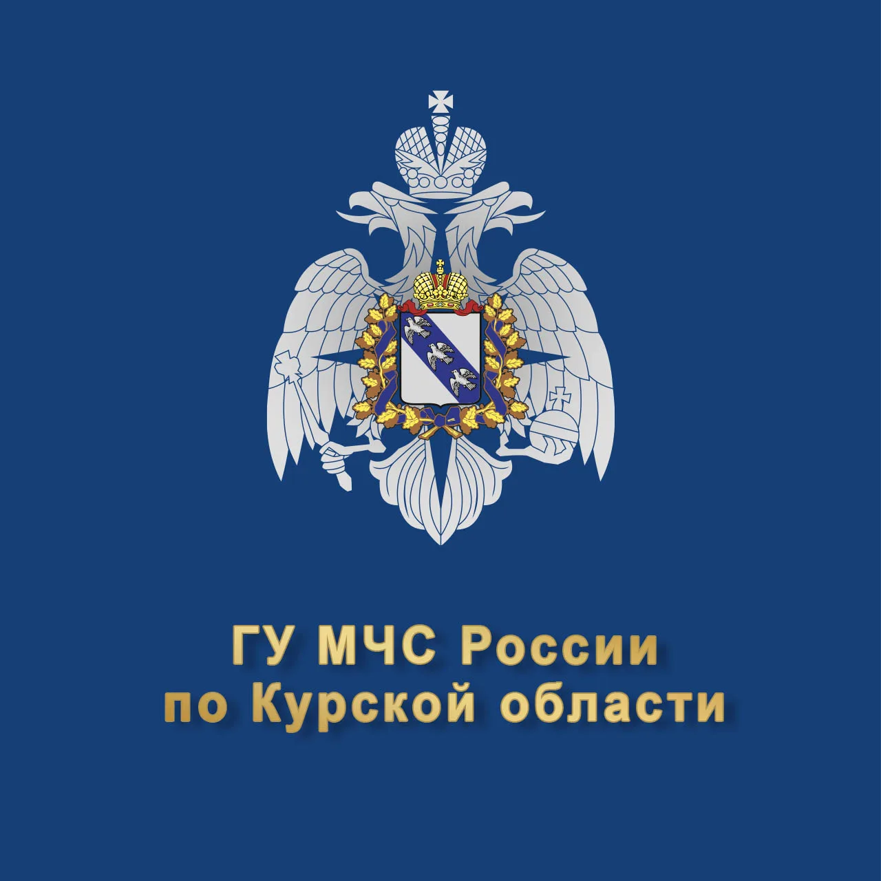 МЧС Курской области